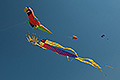 bild195