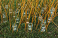 bild020