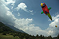 bild031