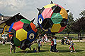 bild036
