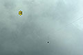 bild105