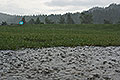 bild132