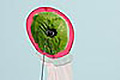 bild010