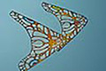 bild013
