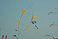 bild017