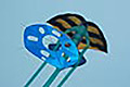 bild019