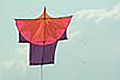bild020