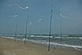 bild041