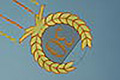 bild046