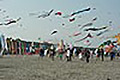bild050