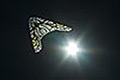bild073