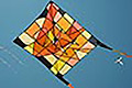 bild091