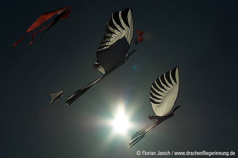 bild023
