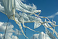 bild010
