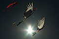 bild023
