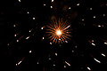bild038