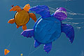 bild048