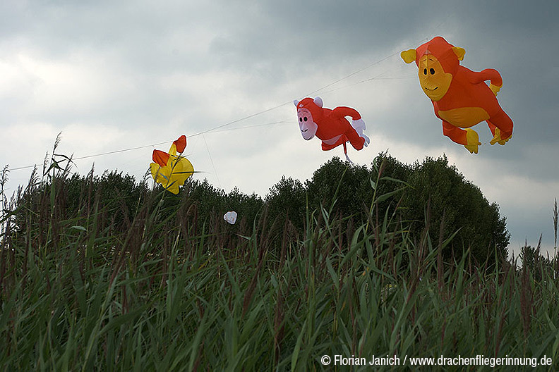 bild008