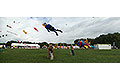 bild005