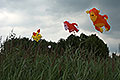 bild008