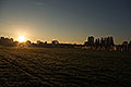 bild014