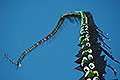 bild019