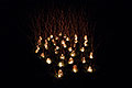 bild053