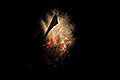 bild057