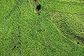 bild067