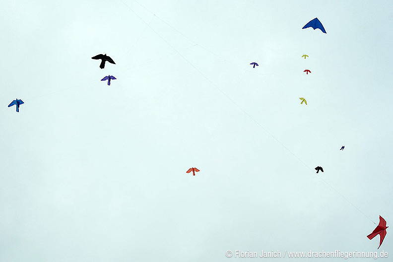 bild020