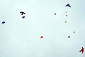 bild020
