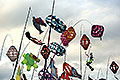 bild022