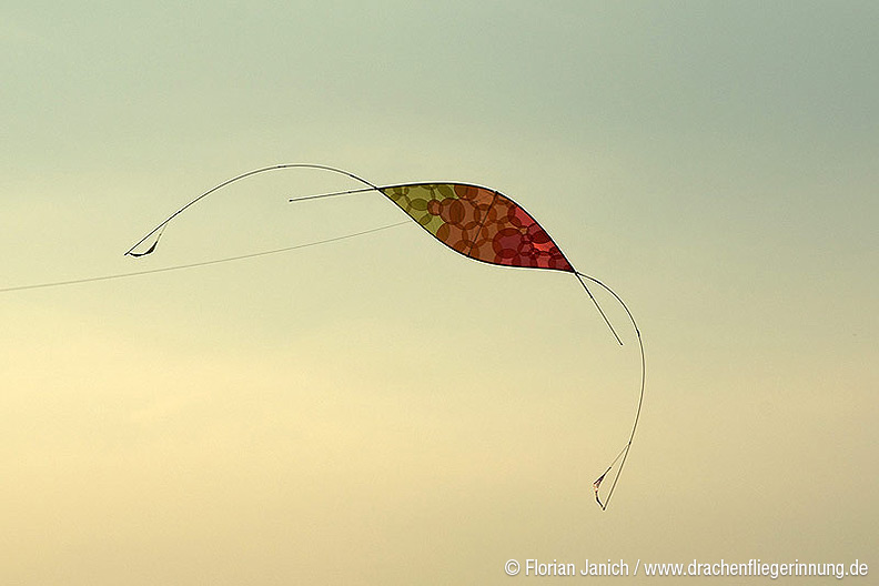 bild039