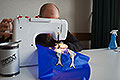 bild013