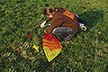 bild036