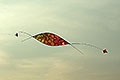 bild038