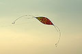 bild039