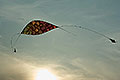 bild040