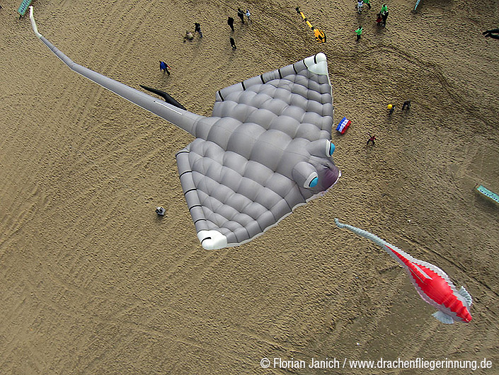 bild042