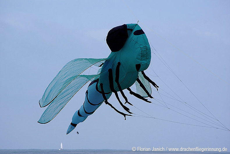 bild058