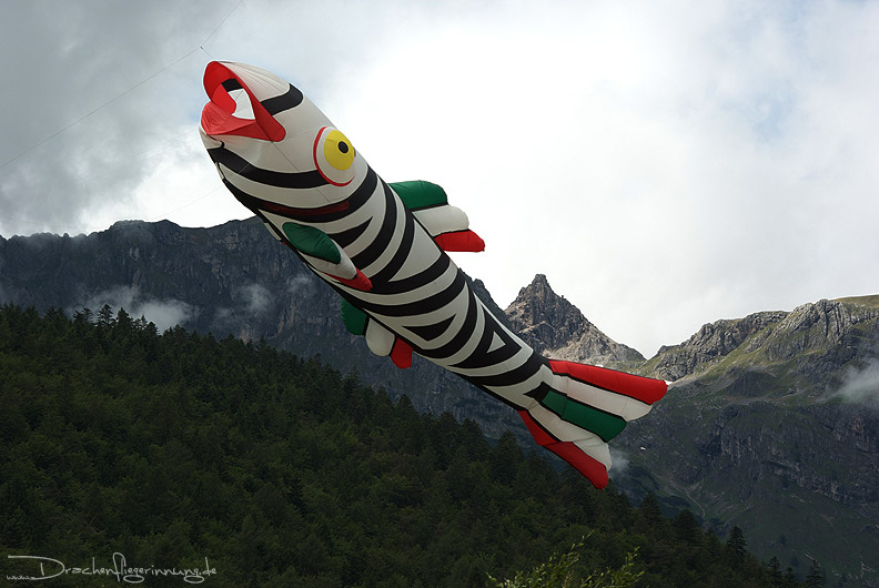 bild009