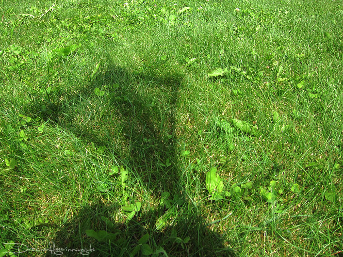 bild044
