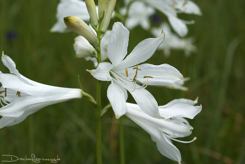 bild070