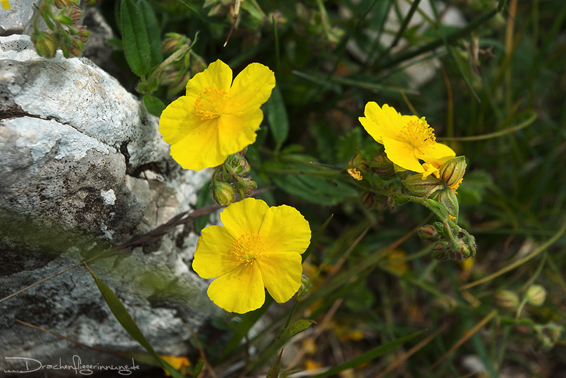 bild071