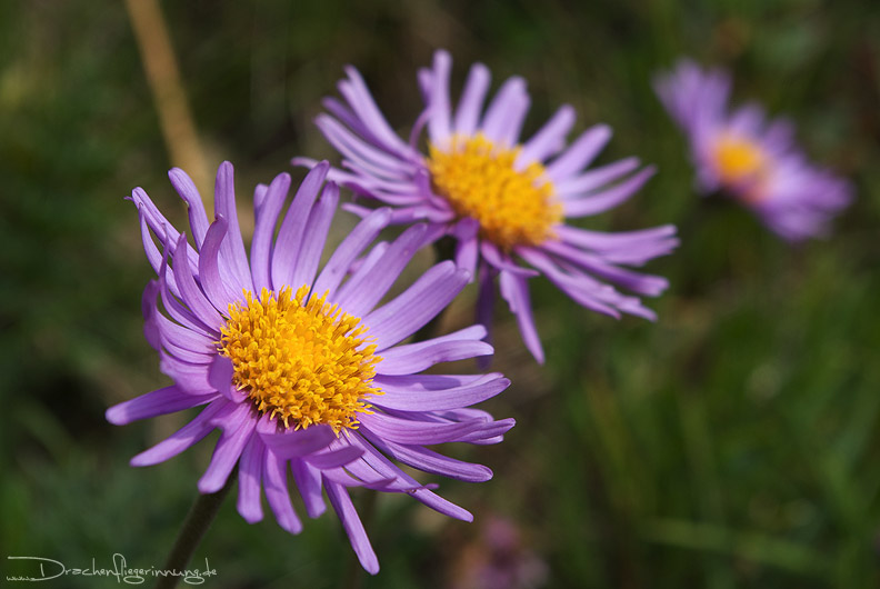 bild072