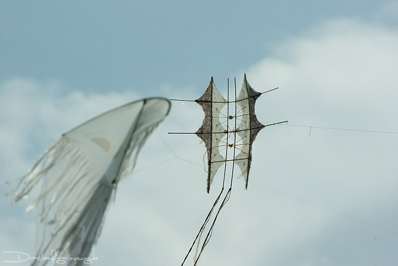 bild078