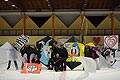 bild077