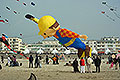 bild011