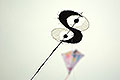 bild026