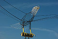 bild038
